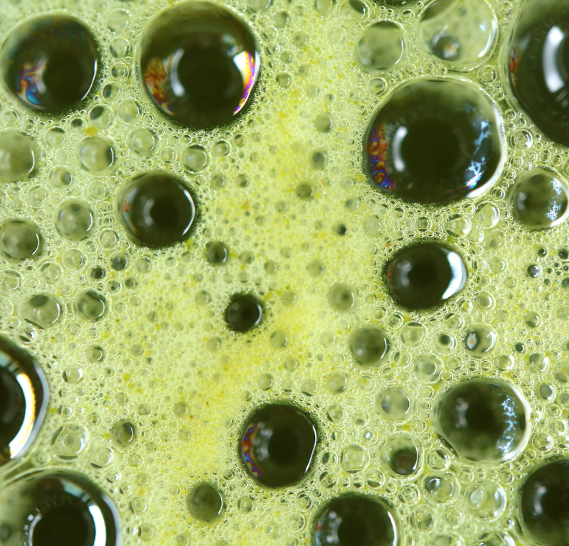 matcha whipped tea